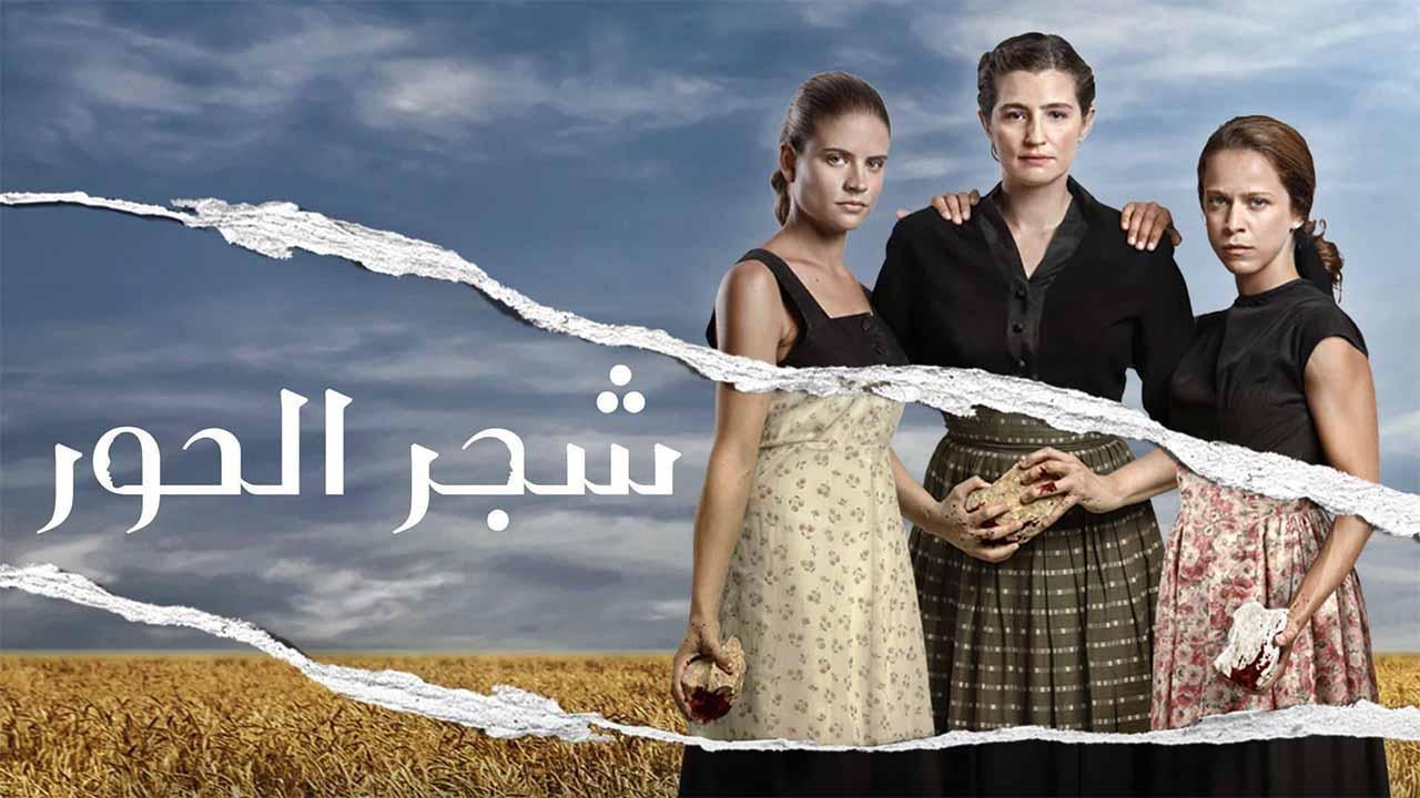 مسلسل شجر الحور الحلقة 43 الثالثة والاربعون مدبلجة